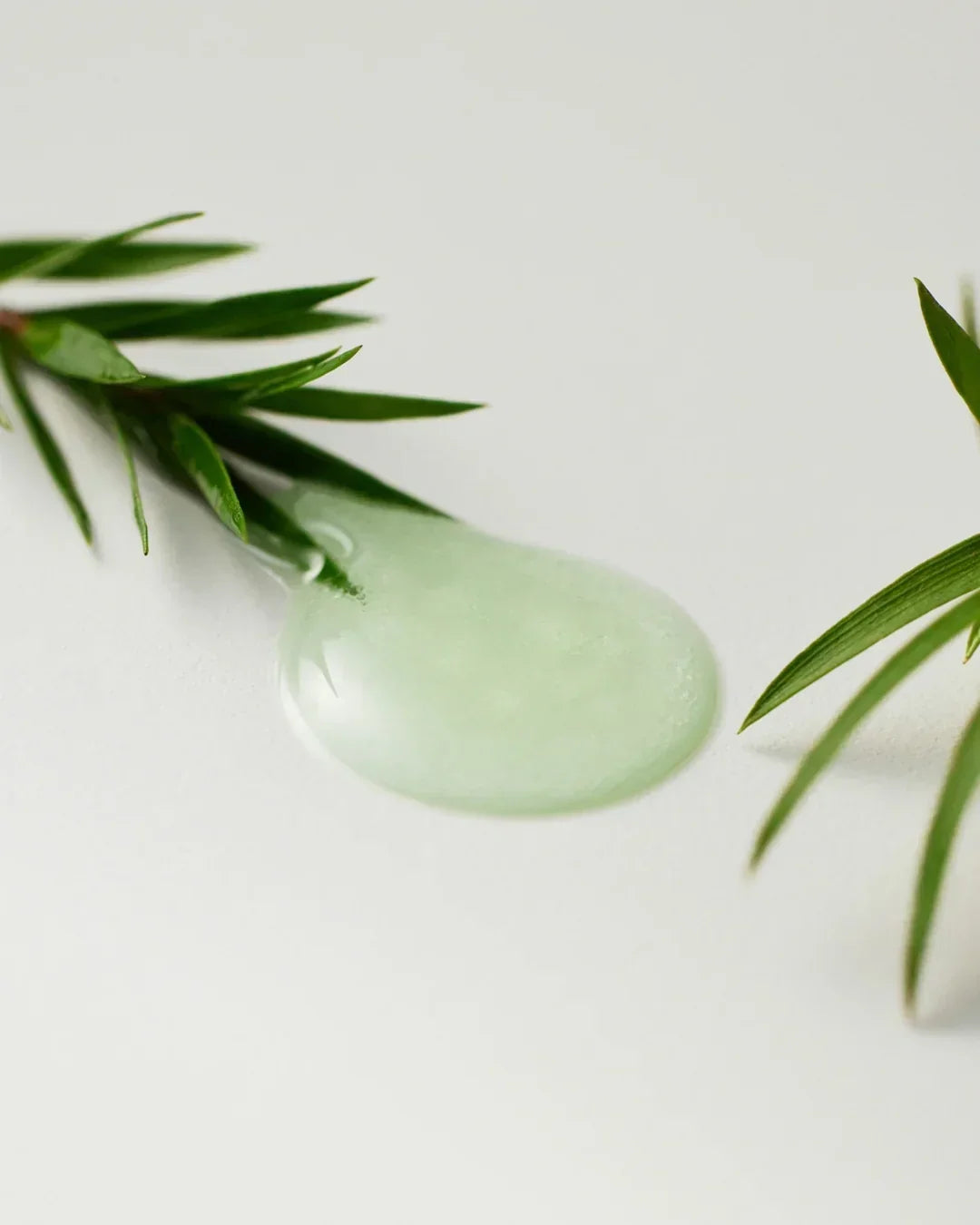Close-up of a light green gel drop with green plant leaves on a white surface, natural skincare concept