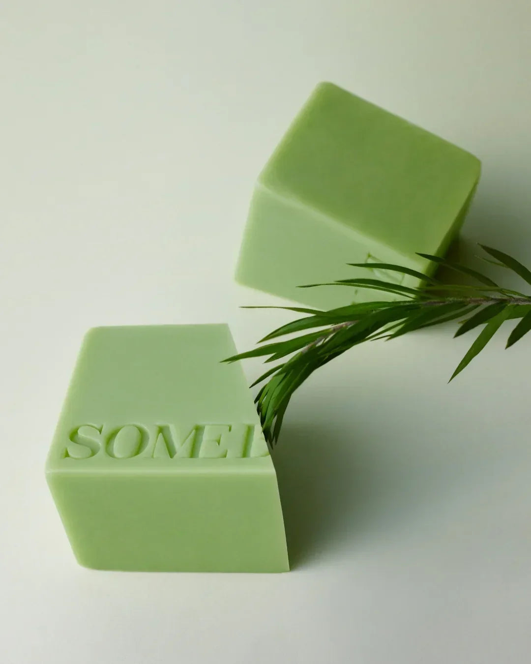 Two light green square cleansing bars with embossed lettering and green plant leaves on white background