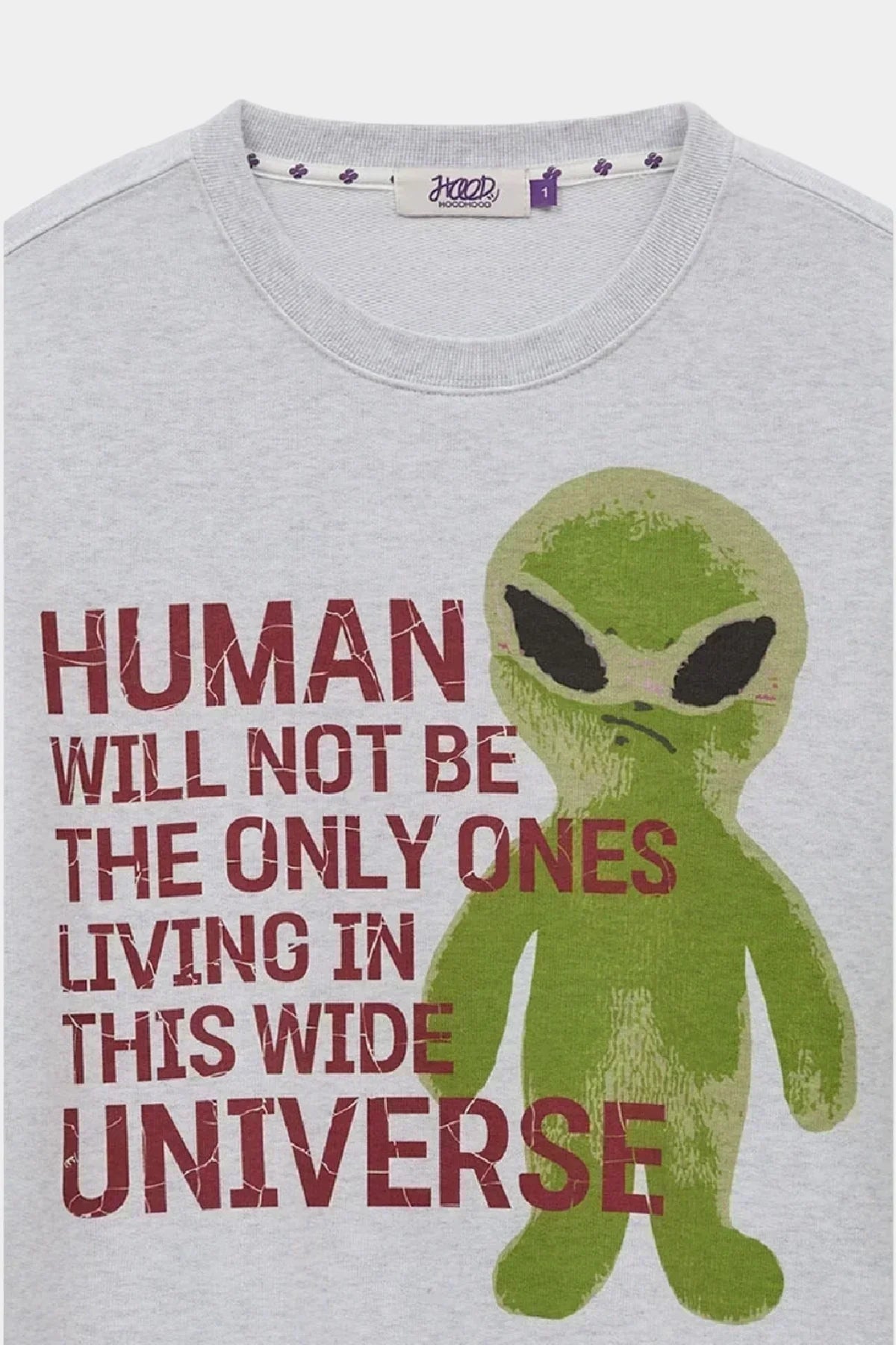 Grey sweatshirt with green alien graphic and text 'Human will not be the only ones living in this wide universe'