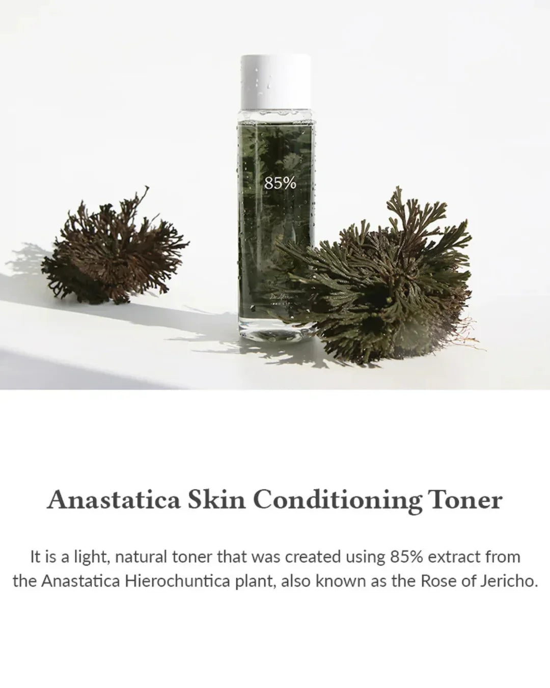 Bottle of Anastatica Skin Conditioning Toner with 85% plant extract, displayed with dried Anastatica plants