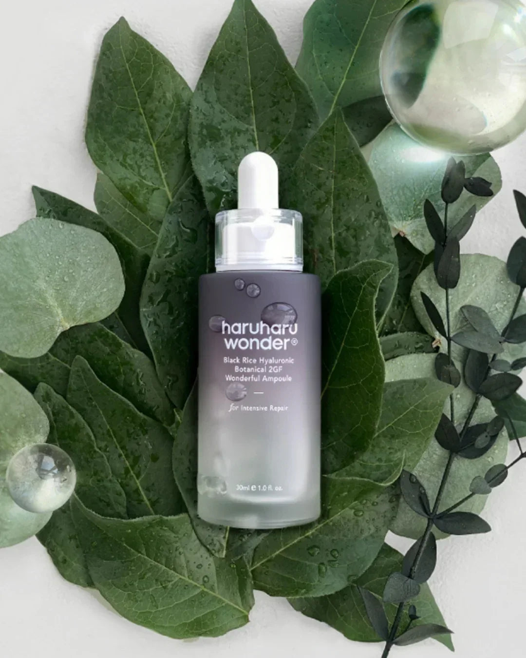 Haruharu Wonder Black Rice Hyaluronic Botanical 2GF ampoule bottle on green wet leaves with glass spheres