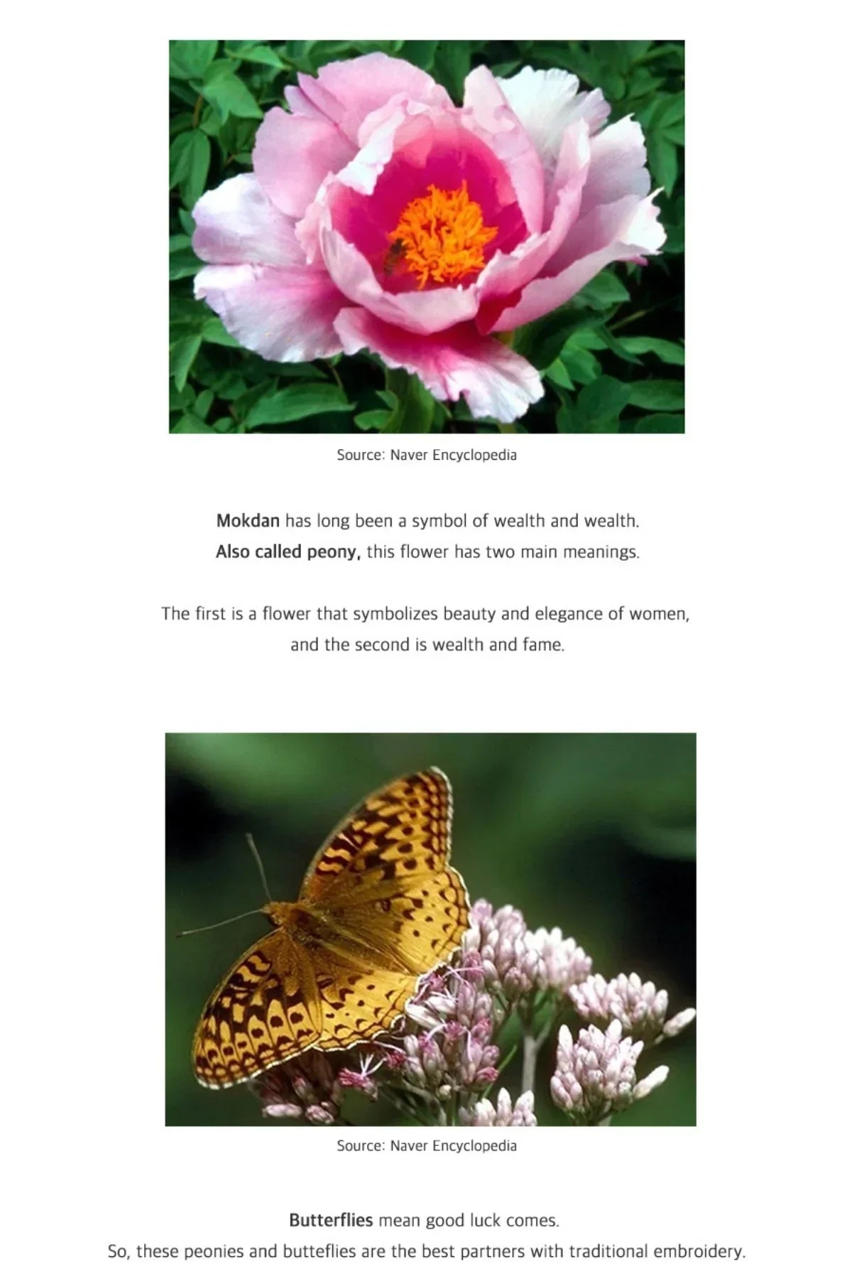 Orange butterfly on light pink flowers with green blurred background