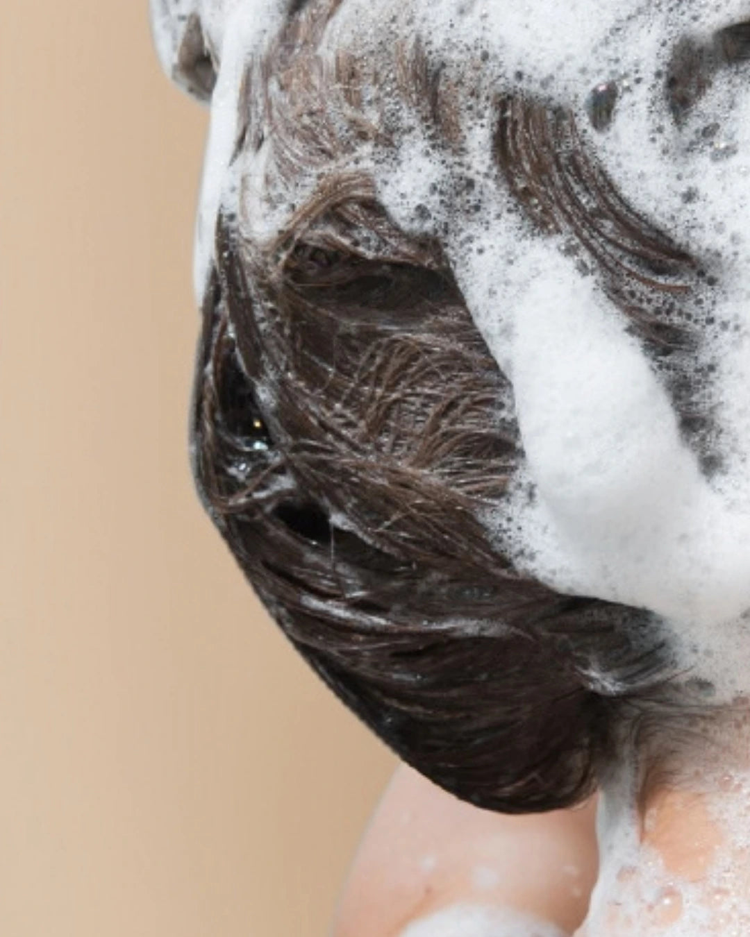 Caffeine Shampoo (2 Scents)