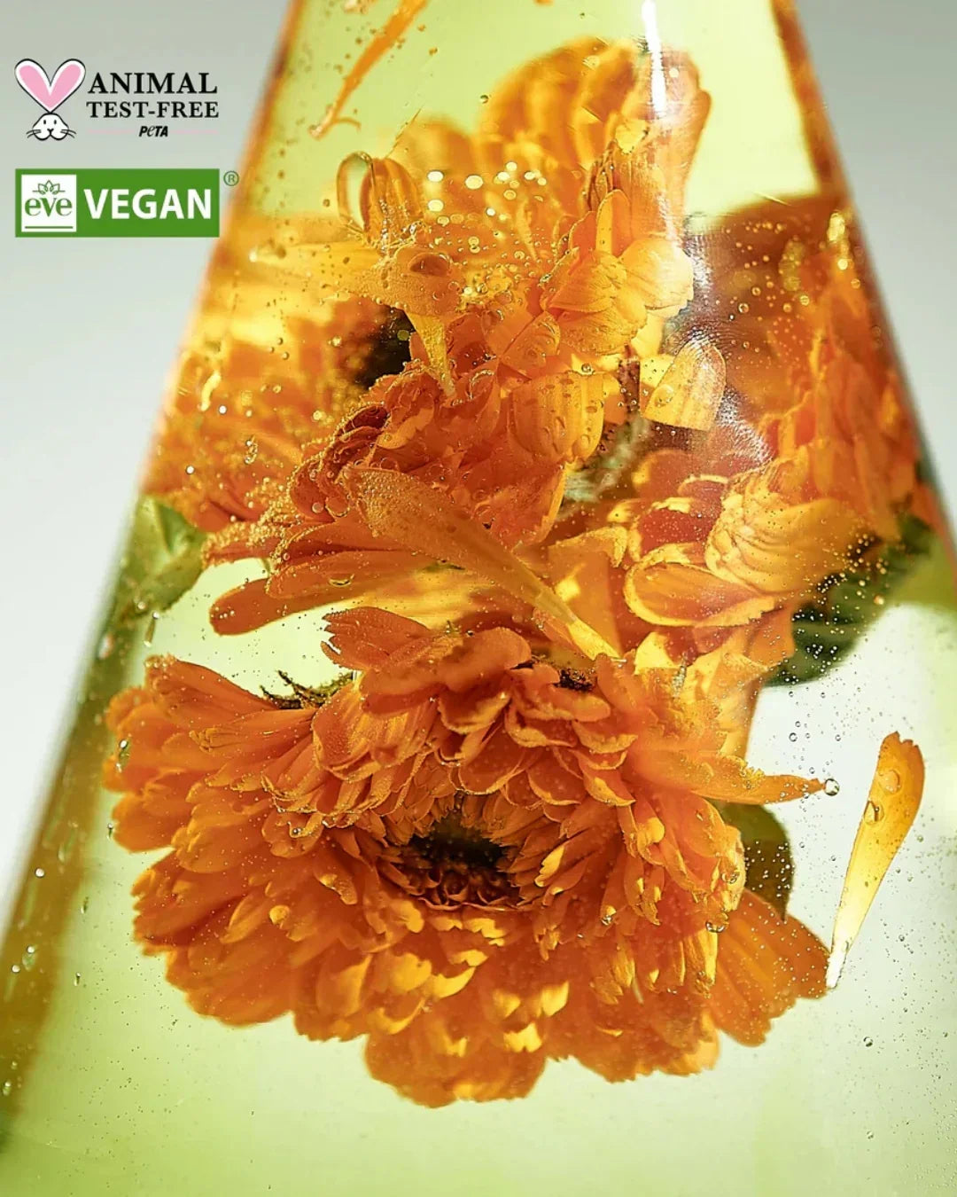 Close-up of vibrant orange calendula flowers suspended in clear cleansing oil with vegan and animal test-free labels