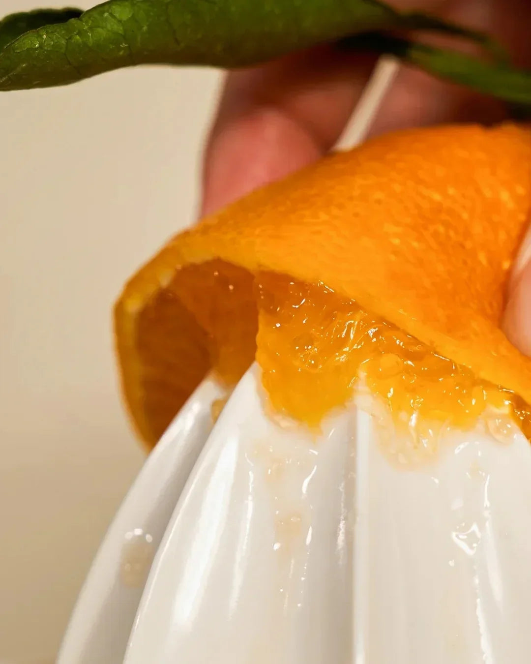 Close-up of hand juicing fresh orange on white manual citrus juicer with leaf detail