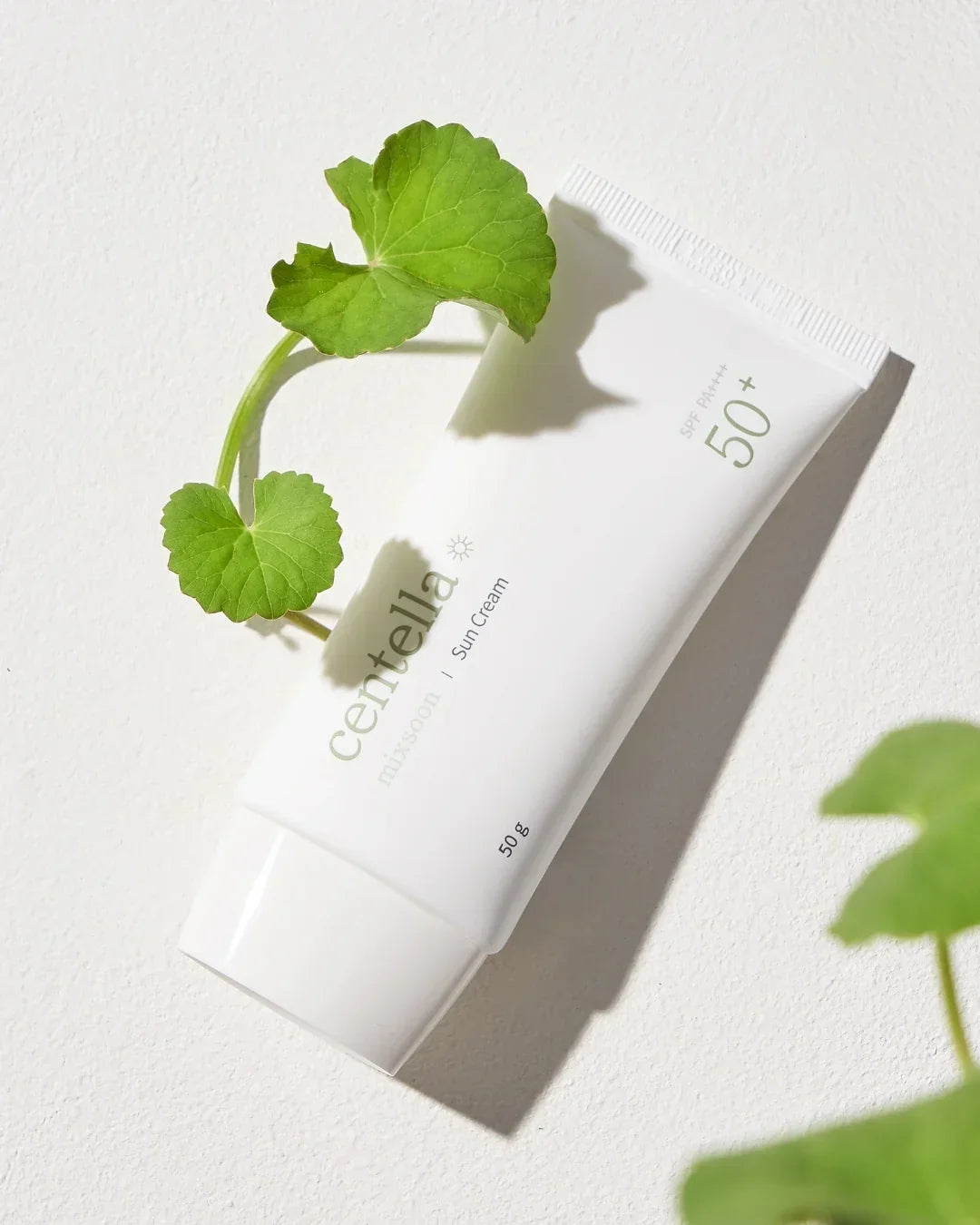 White tube of Centella sun cream SPF 50+ next to fresh green centella leaves on white surface