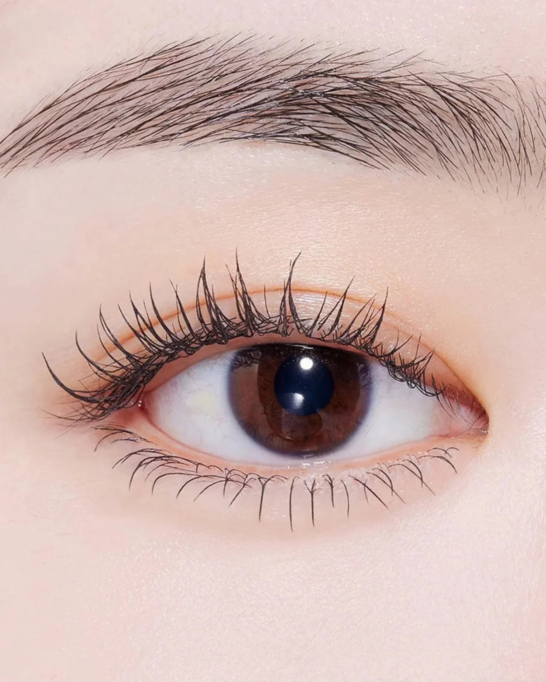 Close-up of a brown eye with long curled lashes and natural eyebrow, showcasing mascara effect