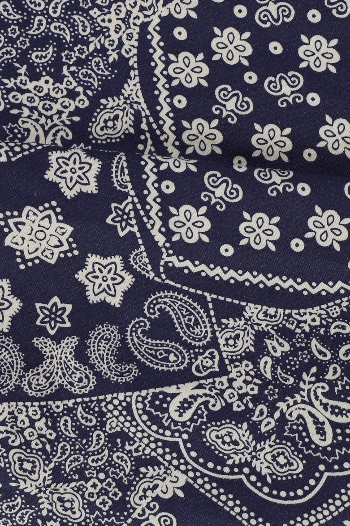 Paisley Eco Bag