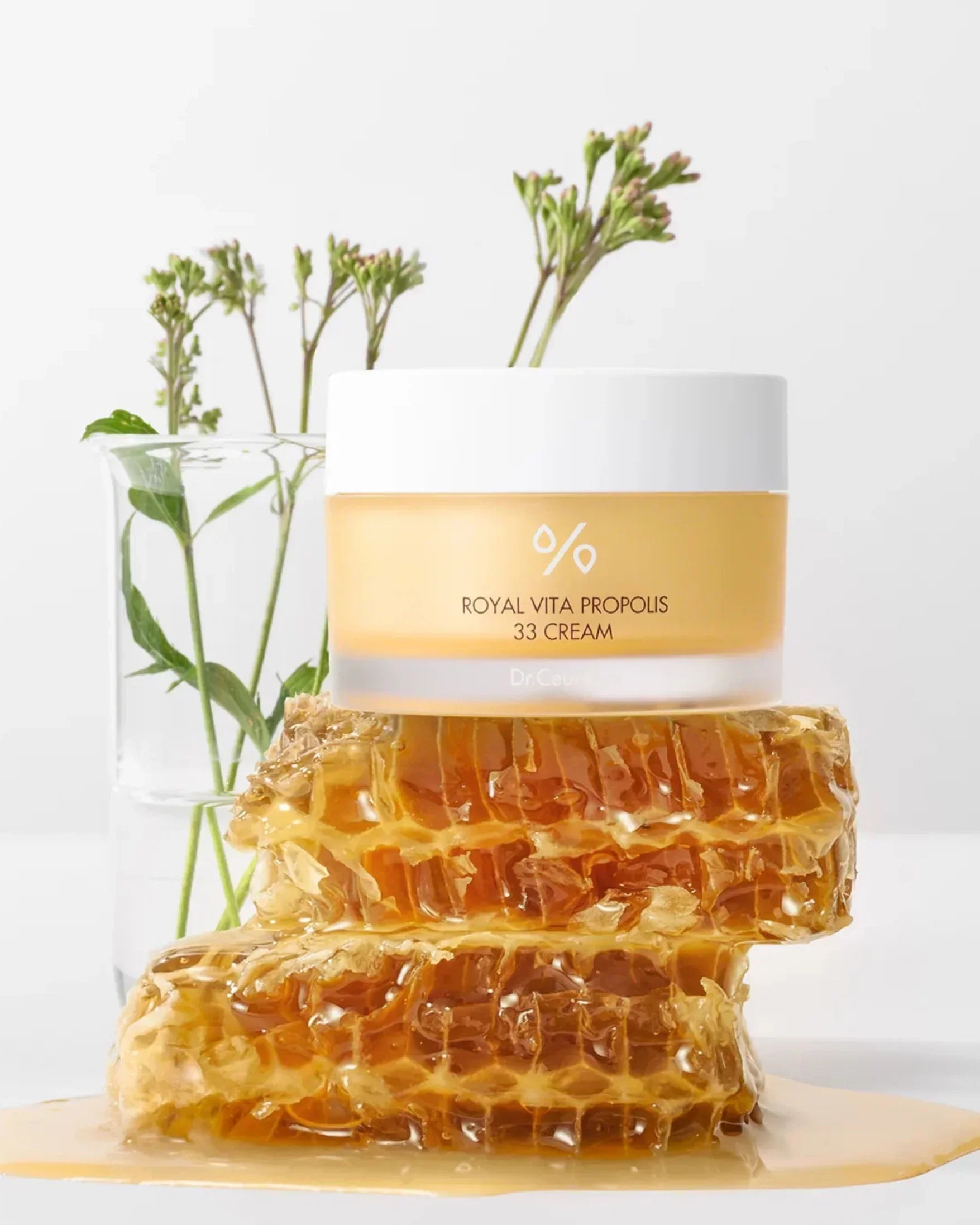 Royal Vita Propolis 33 Cream jar on honeycomb with green plant in glass, white background