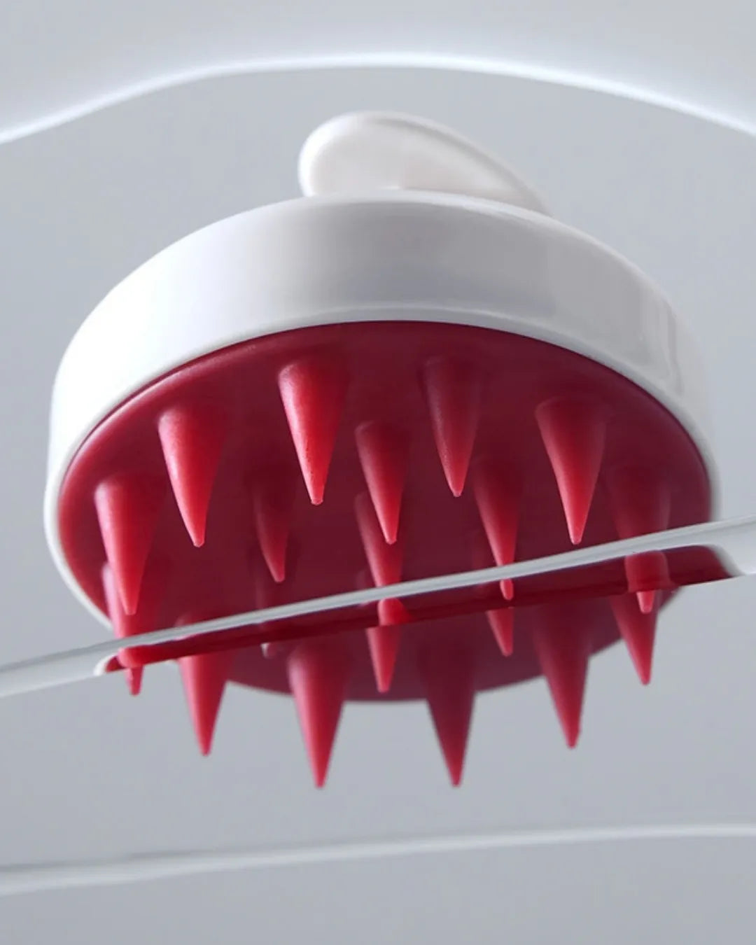 Scalp Brush