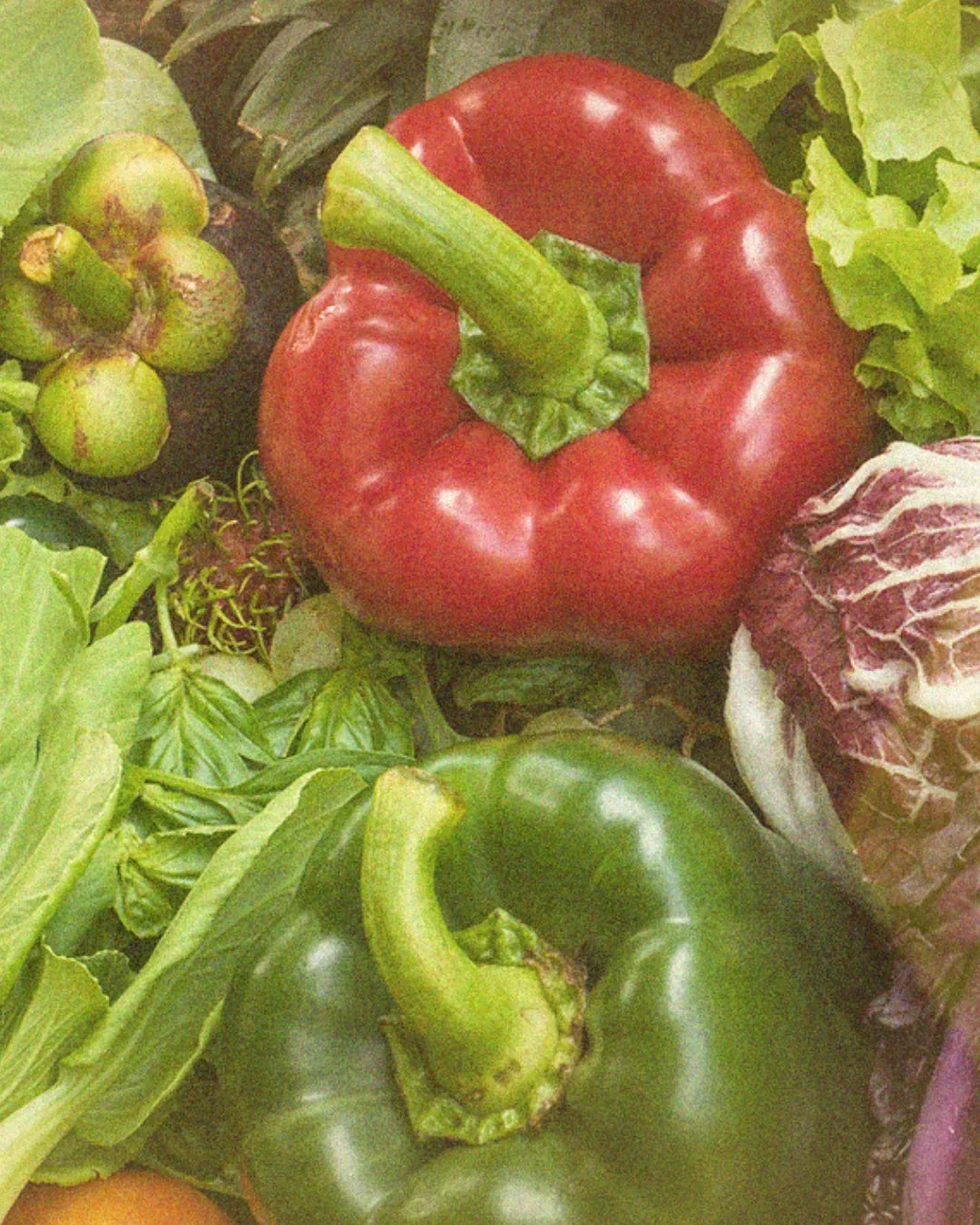 Close-up of red and green bell peppers surrounded by leafy greens and fresh vegetables