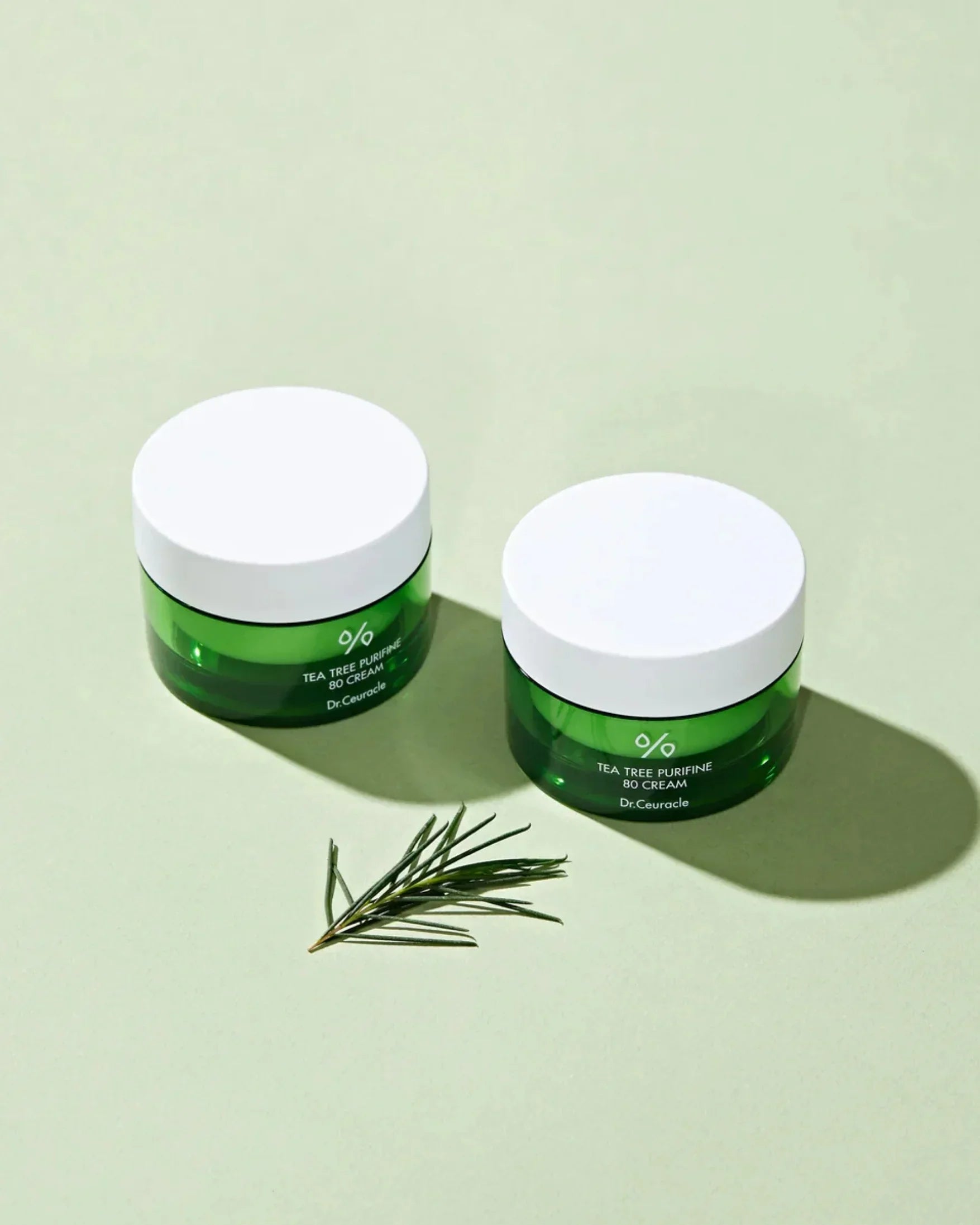Two green jars of Dr.Ceuracle Tea Tree Purifine 80 Cream with white lids on light green background next to tea tree leaves