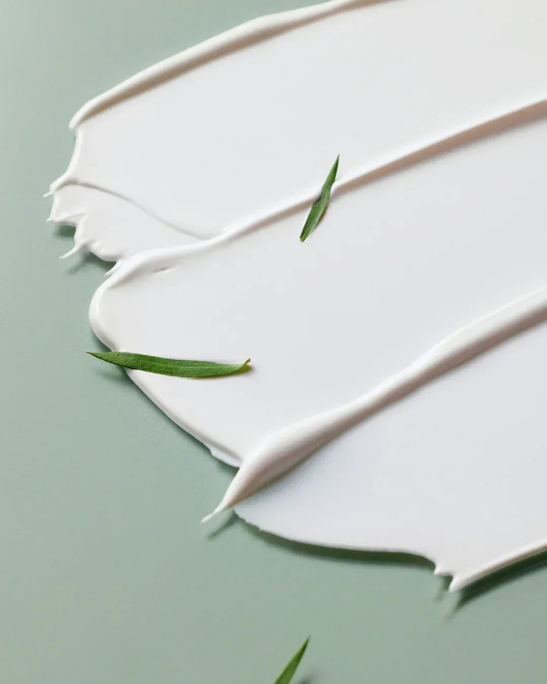 White smooth cream texture spread on green surface with small green leaves for skincare product