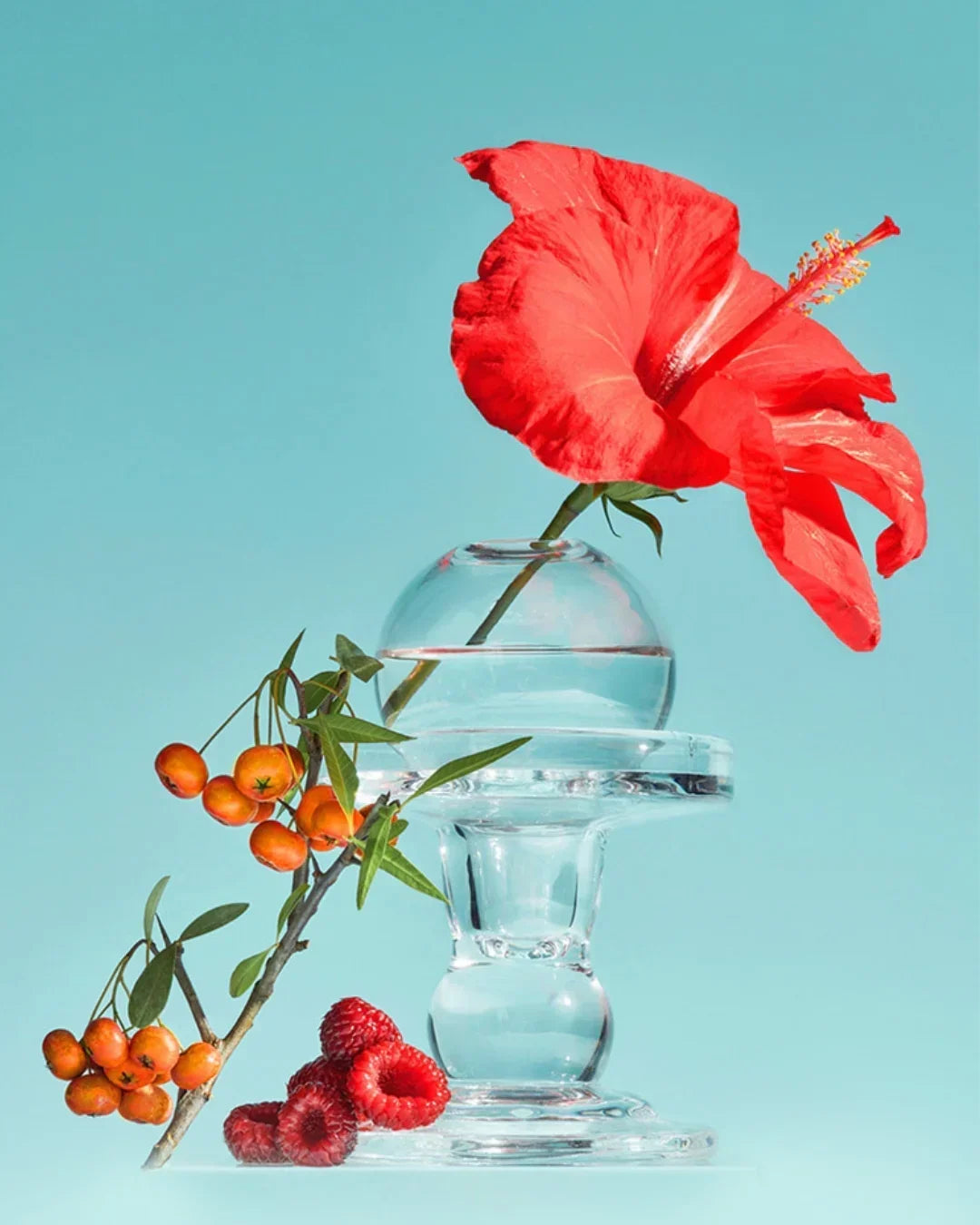 Red hibiscus flower in glass vase with orange berries and raspberries on blue background