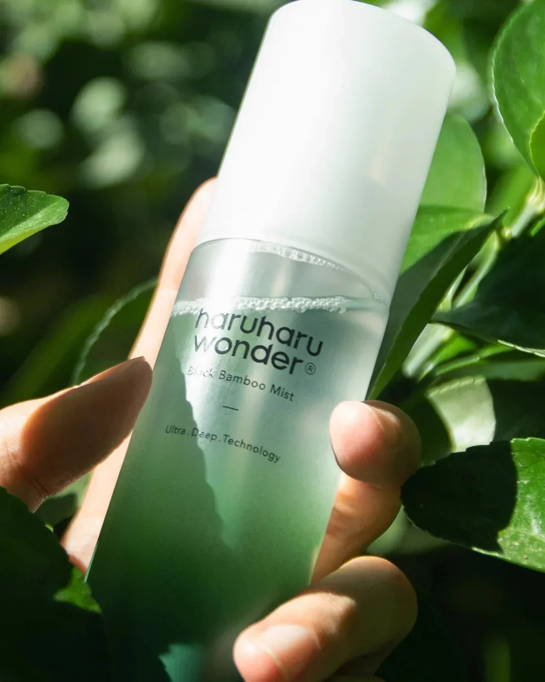 Hand holding Haruharu Wonder Black Bamboo Mist bottle surrounded by green leaves in natural light