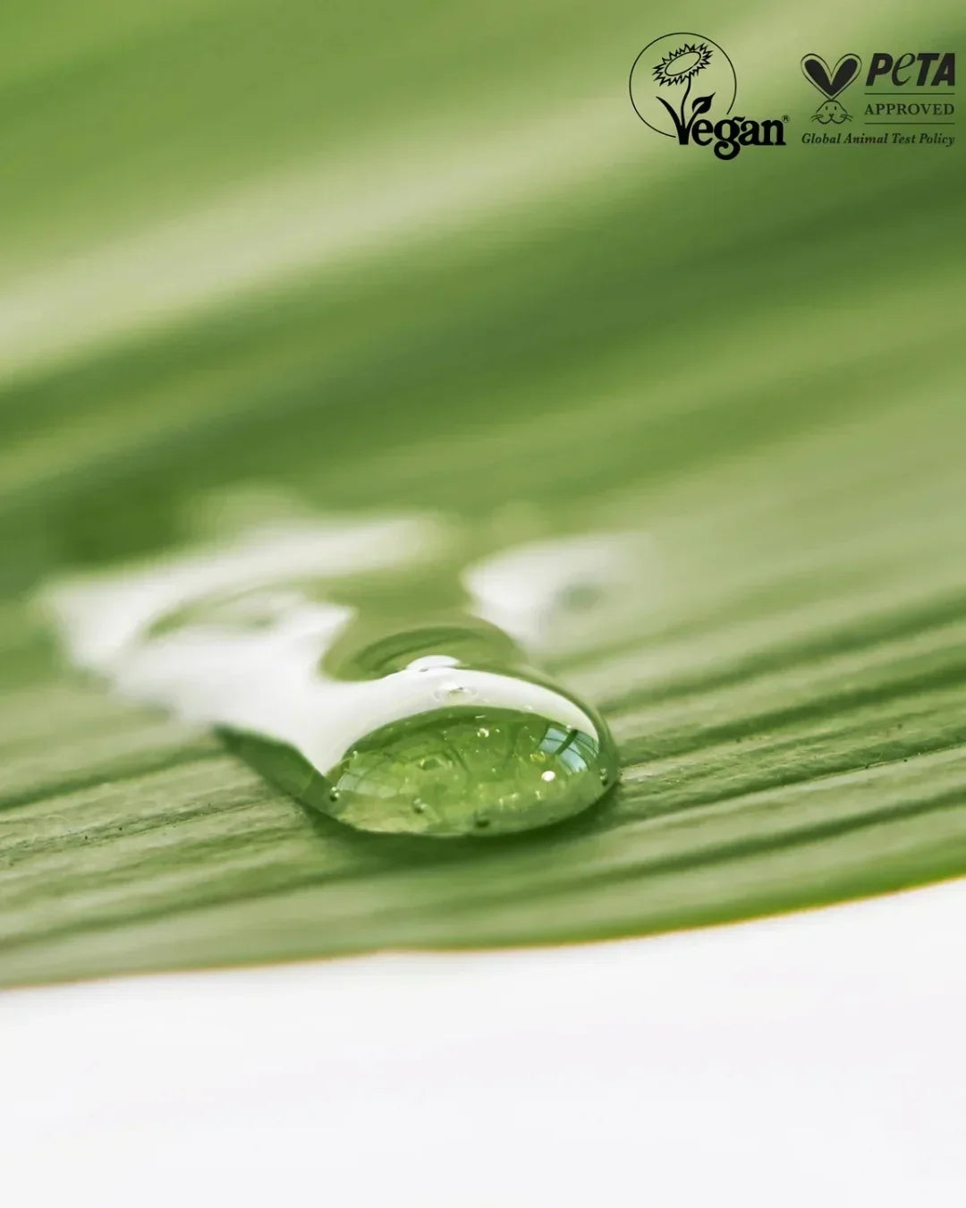Close-up of a water droplet on a textured green leaf with vegan and PETA approved logos