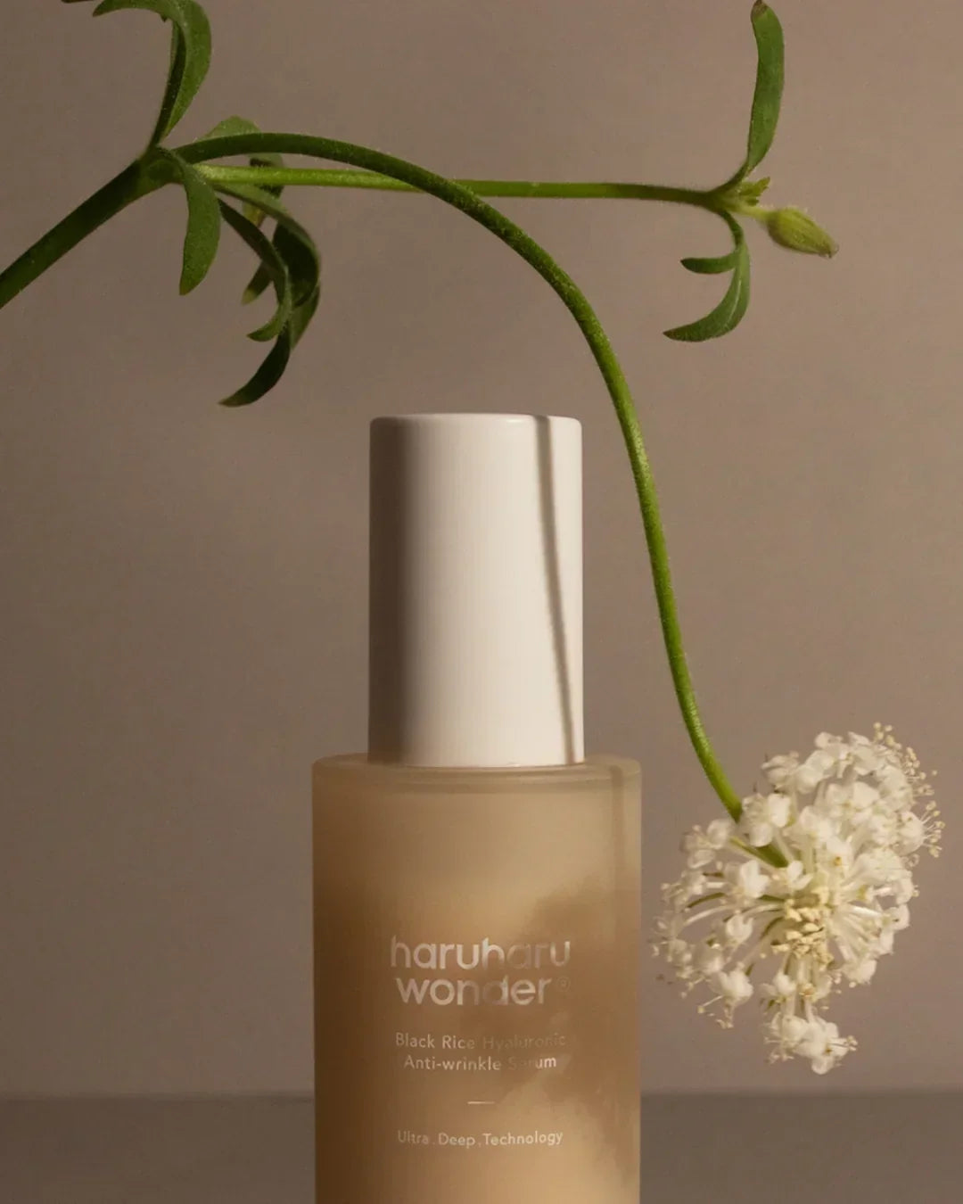 Haru Haru Wonder Black Rice Hyaluronic Anti-wrinkle Serum bottle with white flower and green stem