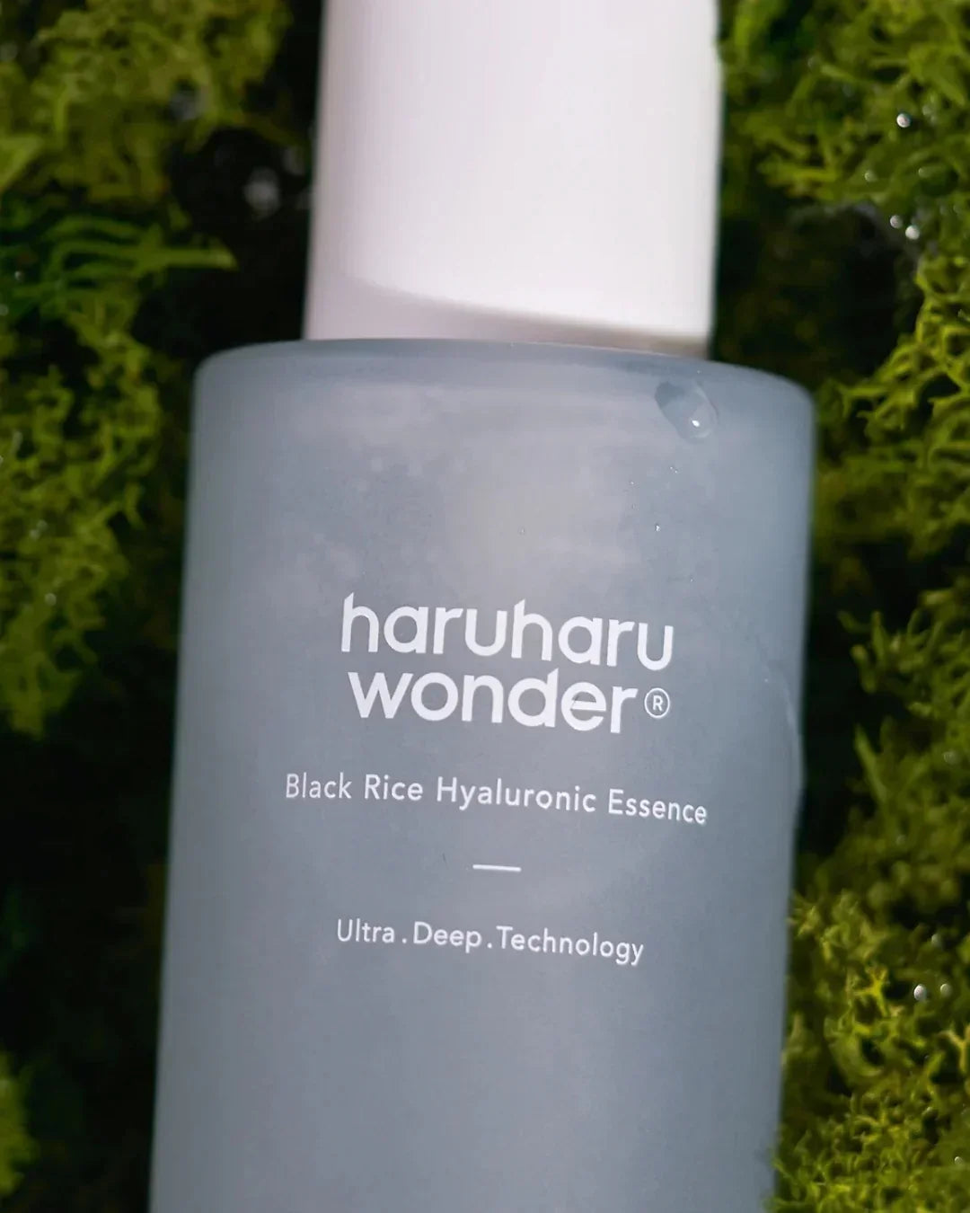 Haruharu Wonder Black Rice Hyaluronic Essence skincare bottle on green moss background